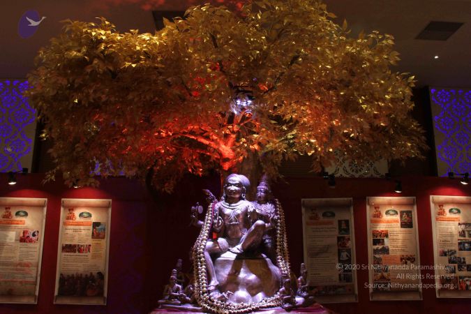 20150807 Photo 1120 1ssXW4m-F-S5SYdPOkfTd2h4N0F1Sy8vv.JPG