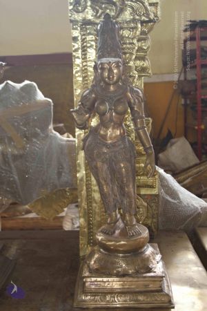 20150823 Photo 1067 1bW0W~YNdH4AWFVLGOhccCXsSlPj1Ee6.JPG