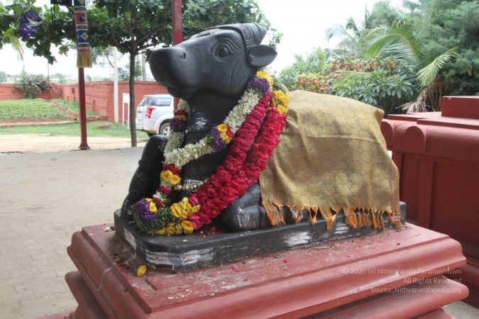 20150823 Photo 1132 1hpGOFs4ZXDW8HH9kGYO845-v8IX-U8Wb.JPG