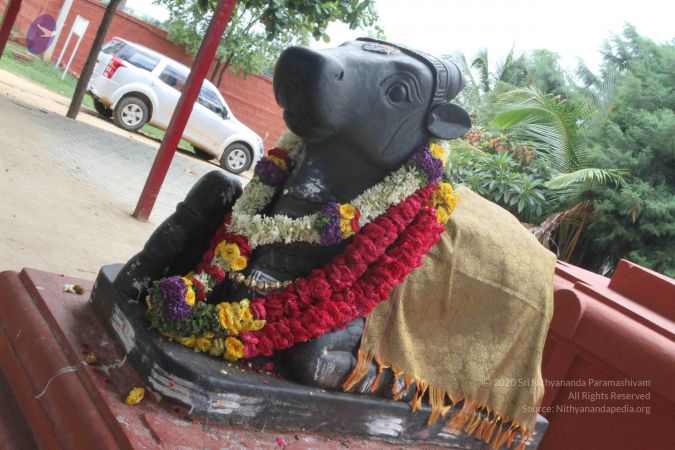 20150823 Photo 1134 1WDmf78CbautWfuPIpfWQqzNhJBvaOcKT.JPG