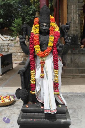 20150823 Photo 1138 1k6AI4HrAdXDlUdvWfkUM-M-anmqCQ2e8.JPG