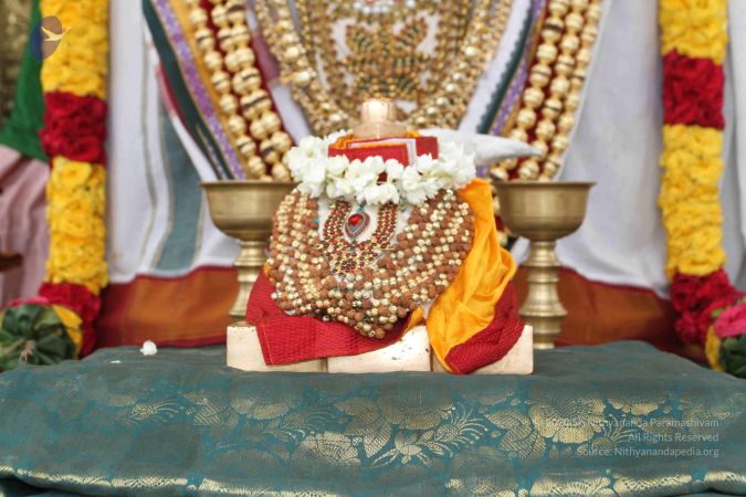 20150823 Photo 1140 1MAgBFI-laGjXjTAXs6n39-iA4mky8U5S.JPG