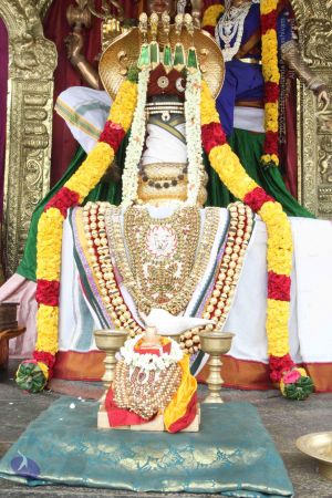 20150823 Photo 1142 1y6jRYnrMYI5GT9SfR-SIRvYKYxQvHolP.JPG