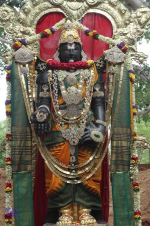 20150823 Photo 1151 1dCWnKuD8G6hOtPItJBCM-T18LjhKpEKv.JPG