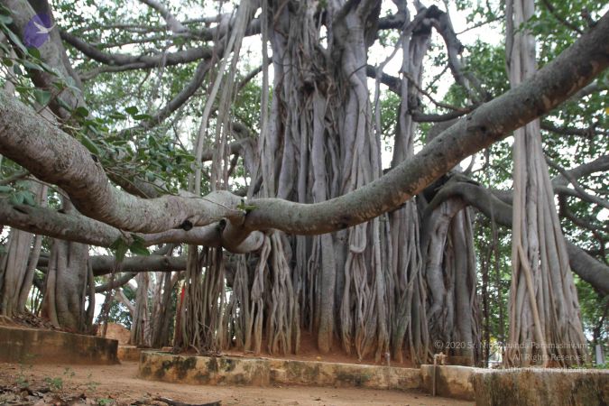 20150823 Photo 1158 1Fjka-DoHDtYaUJA4xva1L14L4BBg1w-z.JPG