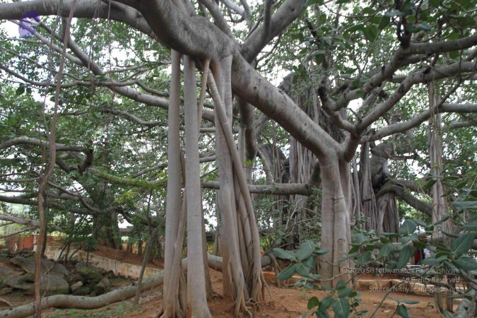 20150823 Photo 1159 1awKo7c3-0xfZxd9Mzb Hsyu2JwZLA73L.JPG