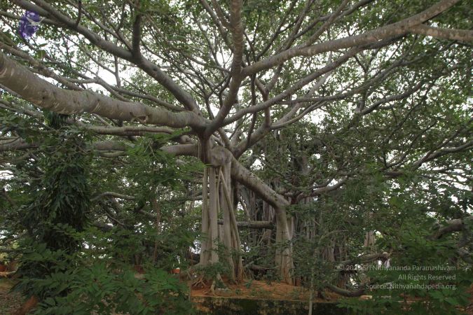 20150823 Photo 1160 17G4TE5brC-PyskFQOvuQEViTvYpTpf-k.JPG