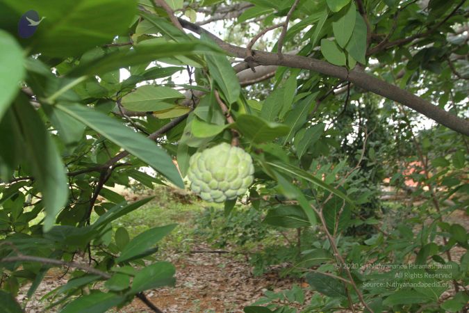 20150823 Photo 1164 1LGHt2w3GKcTqIfTM9fdaMzUmF8jVg2QB.JPG