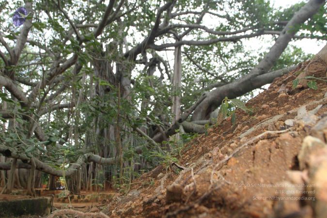 20150823 Photo 1167 1Ybj-YY3W ocPlcnvfTXGFPQRul3cs-0M.JPG