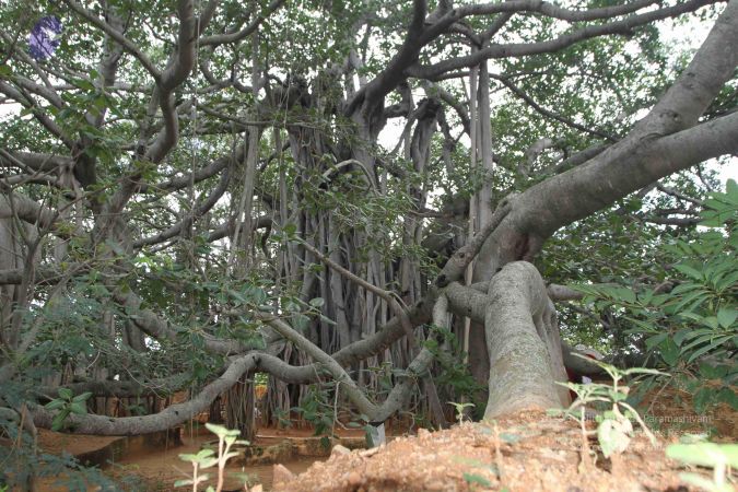 20150823 Photo 1168 1HCr4eWZhPATtrfE3dlmAsO JjMIgzE-Y.JPG