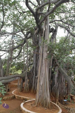 20150823 Photo 1172 1KE-FBqNyzKQ6DMvRKpVSEzKIY28FxLjd.JPG