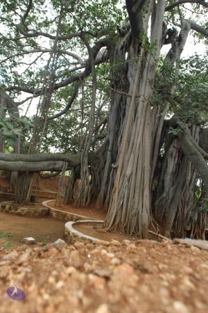 20150823 Photo 1173 1iR2R5a1vUtwDyyBimXb5aE3fXHi5uAOJ.JPG