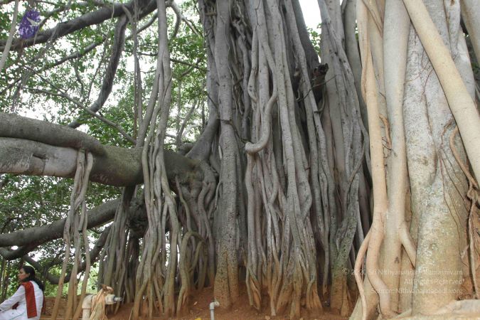 20150823 Photo 1174 1VX9vkyDXLslw64Scv1l -nSP3qzhHHuS.JPG