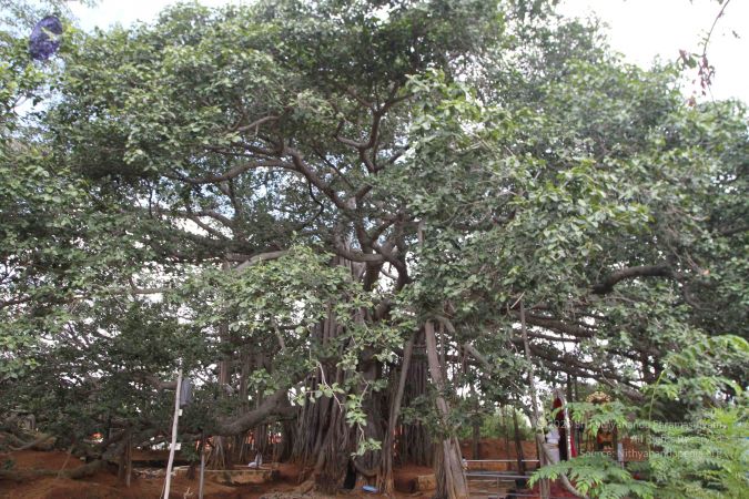 20150823 Photo 1178 1 bHE5t83j4WDLK2sN55TTovDBmA1Li53.JPG