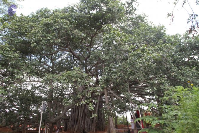 20150823 Photo 1179 1QDtTjL8skvJbuidLjKHwmhjjBoO4Pxk8.JPG