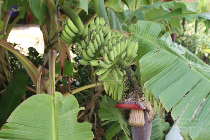 20150823 Photo 1180 11mKmwnv-sjf52pR7djEpFBsVShmgvjyM.JPG