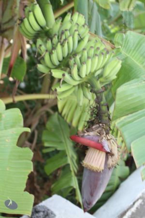 20150823 Photo 1182 1IzrcbdJCKyrXsBCkMO1LIp2cWybQSYSi.JPG