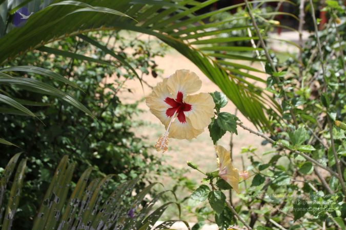 20150823 Photo 1183 1te1kb7JIprIOwO1ITomBEFRRpc9 Fc9m.JPG