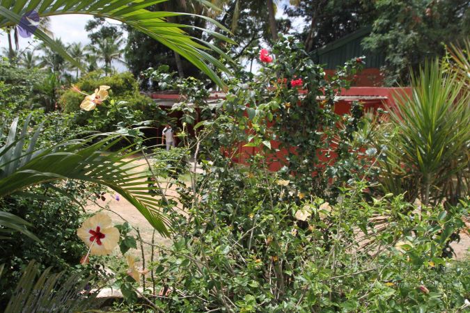 20150823 Photo 1184 1QT6BM5VFI9ednHNshzLHYnfC2H1vzQAo.JPG