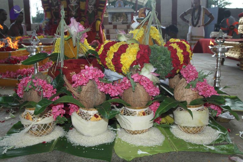 File:20150831 Photo 1019 1vdpTJ8iyi8xyfyMlDWwcHA-cd SeaKOa.JPG