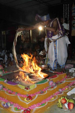 20150831 Photo 1138 1qJKqTbt-0zwwQ4UwXyrzPOXVvOf8rqeH.JPG