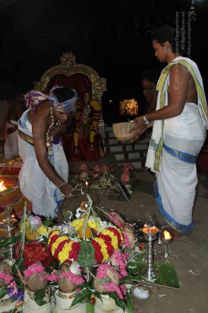 20150831 Photo 1156 1LBti9ef9kXDXxO47kYNTZzDUvFJJrxYo.JPG