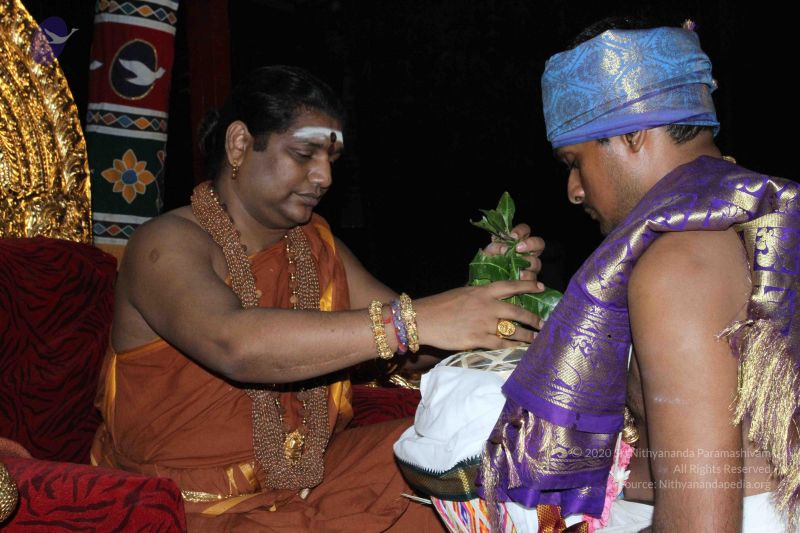 File:20150831 Photo 1177 16PTe0LzBIe6m205Q46Z5r-zImzoAo477.JPG