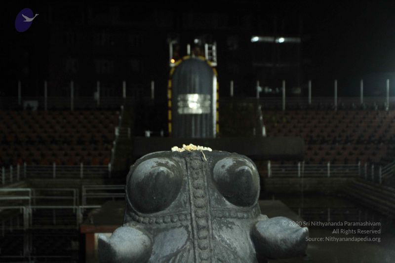 File:20150831 Photo 1307 1vTH9M18Pqr4-VmPxMDhw5uKpS8imLR7p.JPG