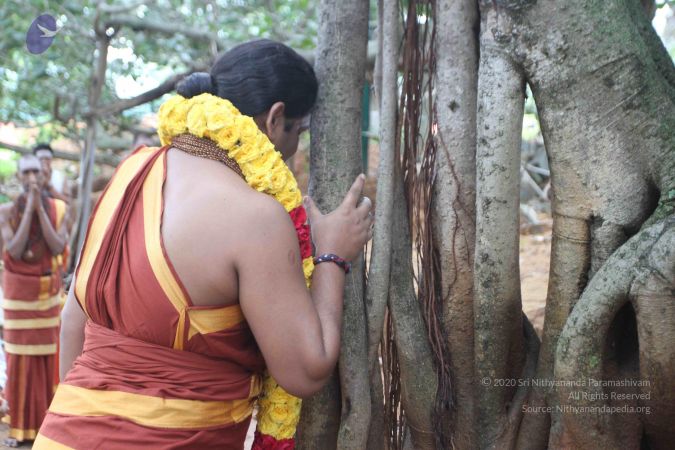 20150908 Photo 1012 1KQeT ASs5lqvLgJ-eVzsxJkd2sAVNZvM.JPG