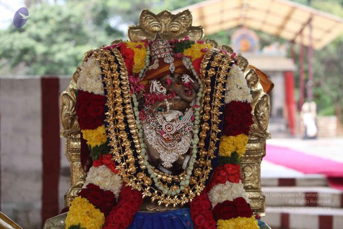 20150908 Photo 1028 1pahSOUAyqOE7yKIlr-orHpig0G8YsWWk.JPG