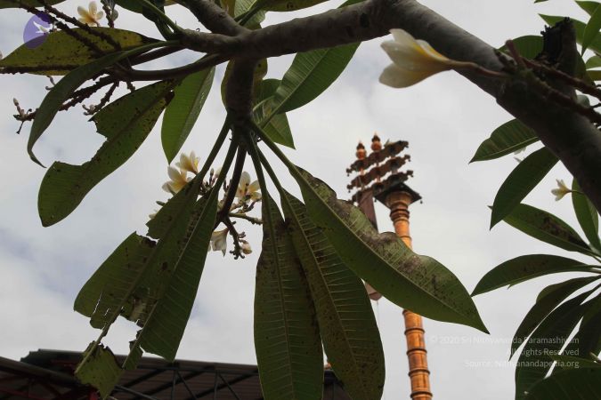 20150908 Photo 1032 1vLPQTwfmr W pKFsNVYSt9tdQrI8j13h.JPG