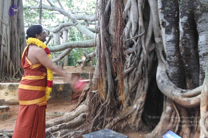 20150908 Photo 1060 1fqlcZq6XZNShCjYYCxi18IplZshSSShy.JPG