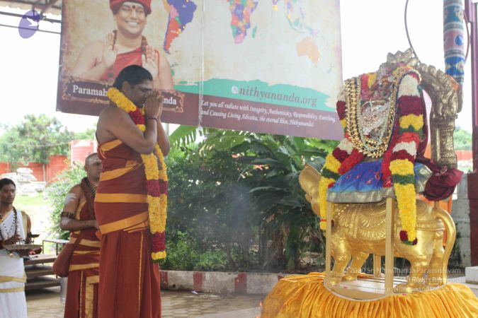 20150908 Photo 1107 1nuNCm3no5jX8kalOc8ob5vO9y8NI-Xn6.JPG