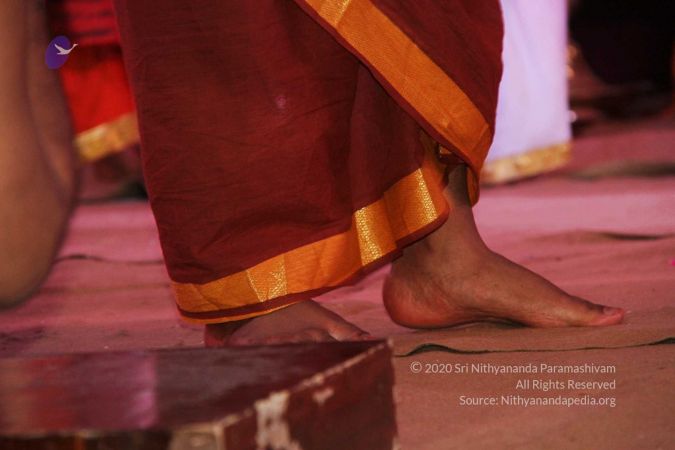 20150911 Photo 1124 1miW0evGcF6yUGlcQjVmqNasrBkHde6wX.jpg