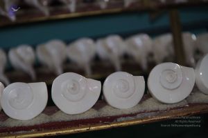 20150915 Photo 1153 1IGomhjg1KzSqy4mzuwY1l f2HzU7Yhzi.JPG