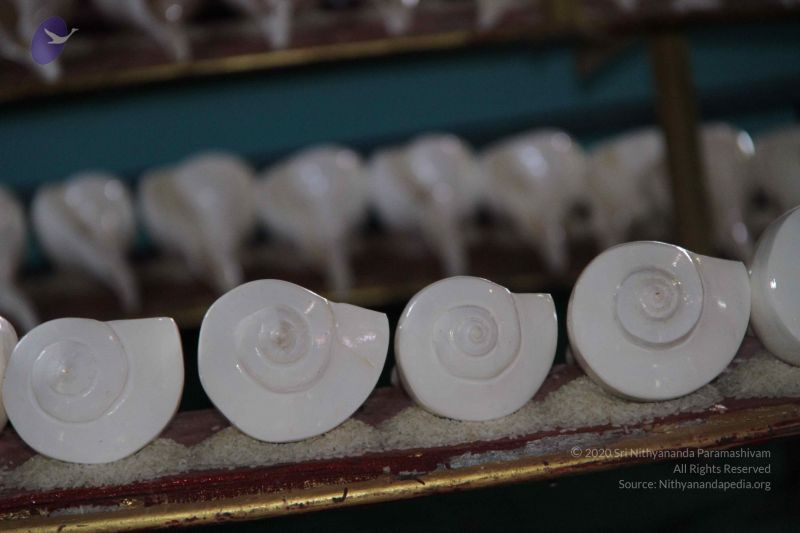 File:20150915 Photo 1153 1IGomhjg1KzSqy4mzuwY1l f2HzU7Yhzi.JPG