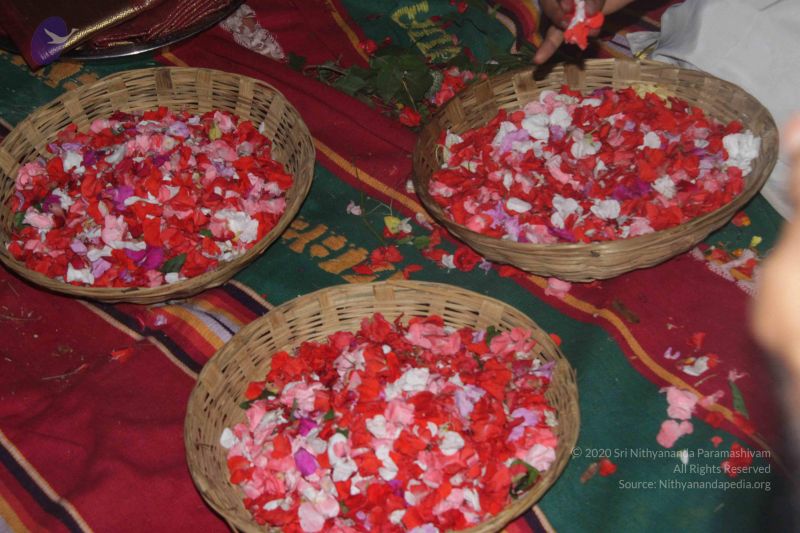 File:20150915 Photo 1401 1aVI2JRd8YYX2C-S75zGOjDSlstw3UScJ.JPG