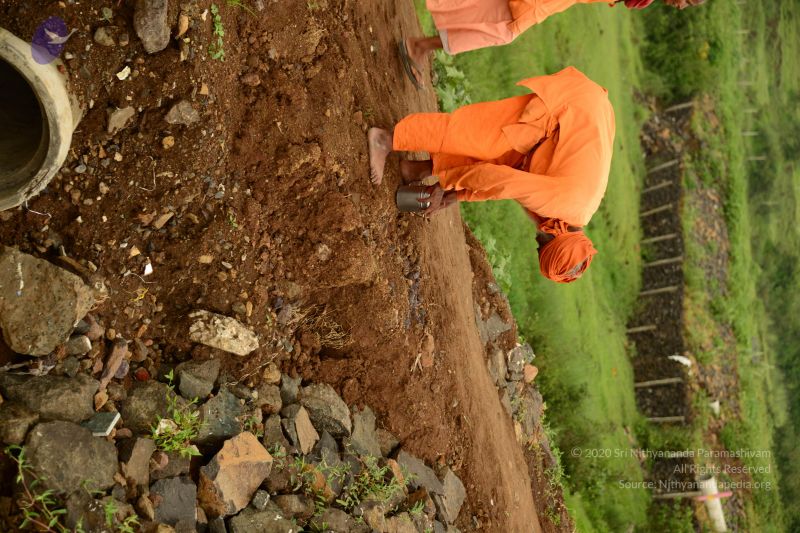 File:20150915 Photo 2388 1q6h9WC0yP DpPOYuz5w0G6gvRUWe11q .JPG