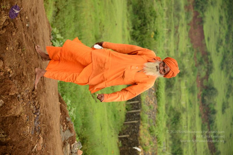 File:20150915 Photo 2391 1Vr5M81PKCiP7d5rY8DAaZpX3TBXRIxj7.JPG
