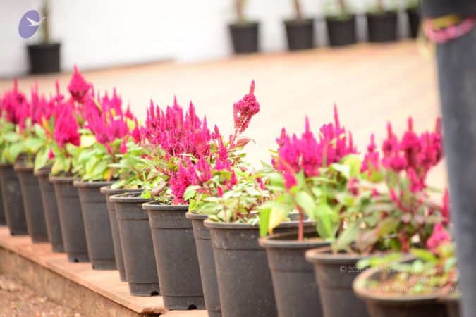 20150915 Photo 2450 1FIvIeWxfiWLLve8KLB3ajlJgw1 WB3KJ.JPG