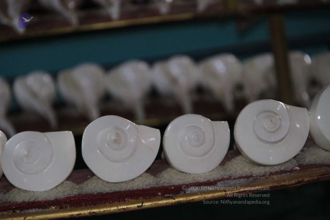 20150915 Photo 303 1SWkCBKREla7HwnZVaHRq1X0k4Rz5Ac35.jpg