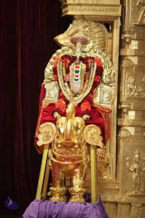 20150924 Photo 1004 1vRpn9WvRO4tiXc -BJ4VhCS0VQ6QsGaY.JPG