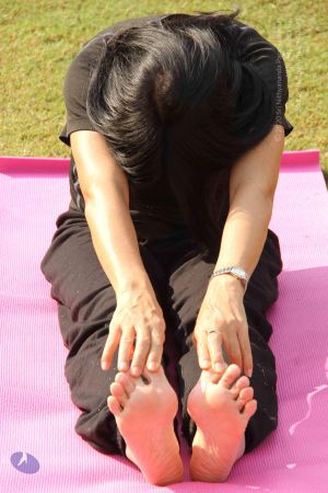 20151008 Photo 1101 1PkV vNaCjIPZYAlhyUDGwmyawX-kJ9nQ.JPG