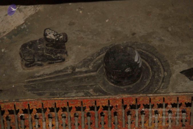 20151011 Photo 1011 1aFxdXpbZCAyax7MXDwnm7-ZyyBn77vnN.JPG