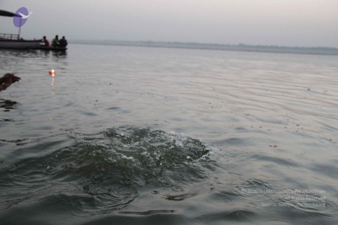 20151011 Photo 1110 1D461C4wdarN0fcyaeSn0WGImWMhxI9TF.JPG