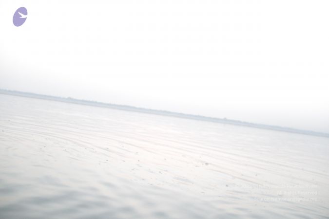 20151011 Photo 1396 1 Wsb259rlcsSiDL7bcr7To3S3MIReF-r.JPG