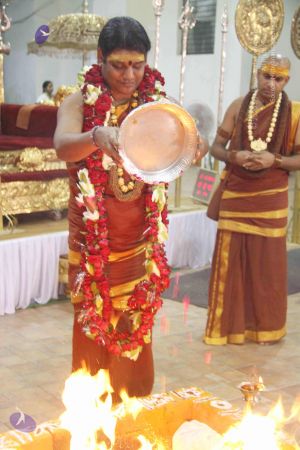 20151012 KB Homa 5585 CMP WM.jpg