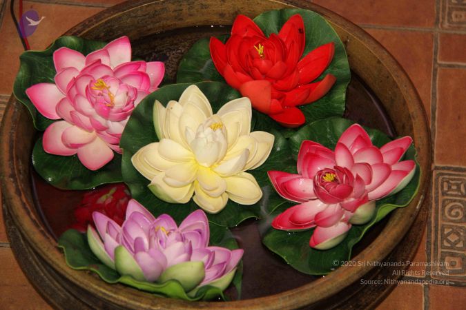 20151012 Photo 1165 1u0jdWBzFNXi5a1LYmnGqOdTJCk0z-xwT.JPG