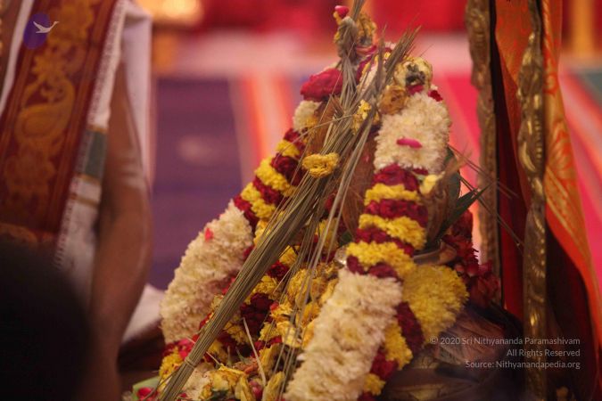 20151018 Photo 1691 1wSbYdfPrOJcyofyqwFVvq5IZeHW-kH5K.JPG