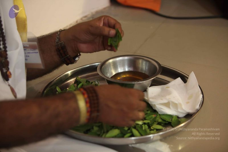 File:20151101 Photo 1243 1GobP03aXlSE5YXu6BZRwSxTHNTs5frwo.JPG